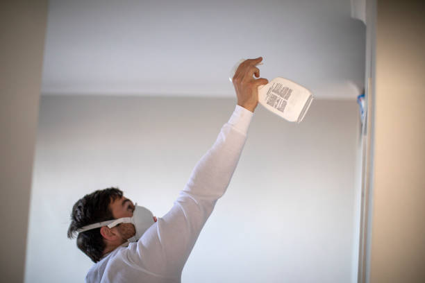 Best Residential Mold Removal  in New Market, AL