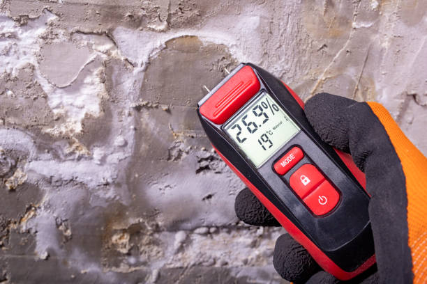 Best Mold Removal Specialists  in New Market, AL